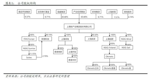 硅产业 国产大硅片领军企业